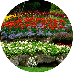 Planting Seasonal Colorful Flowers
